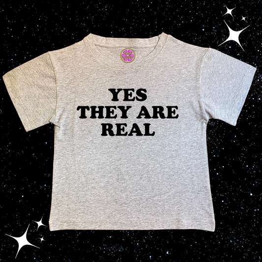 Yes They Are Real Crop Tee Grey