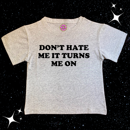 Don't Hate Me It Turns Me On Crop Tee Grey